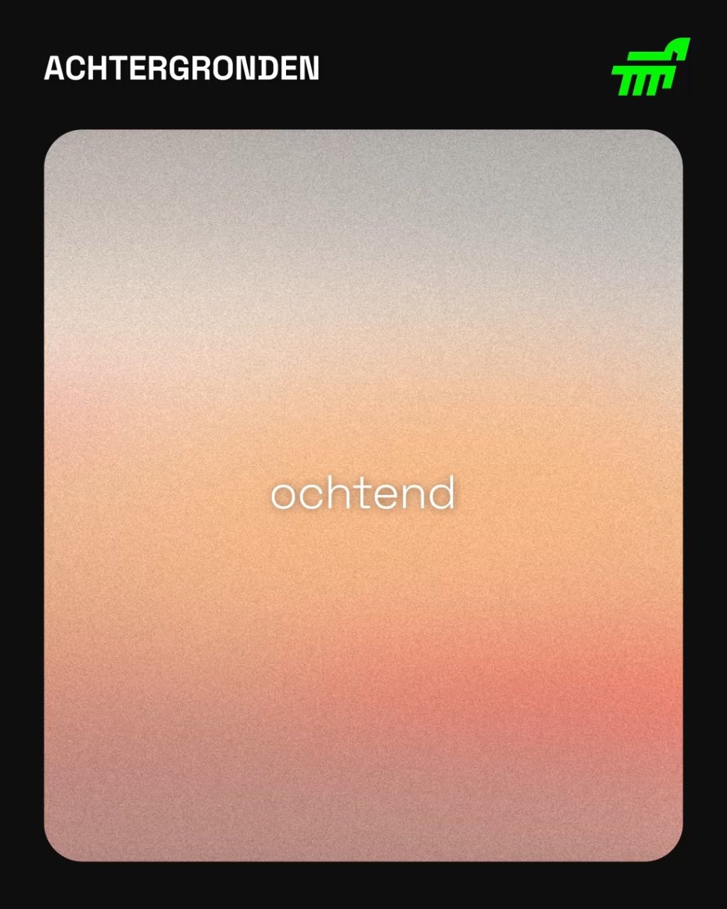 Instagram post from zoevankuyk.be. This post is in position 1.