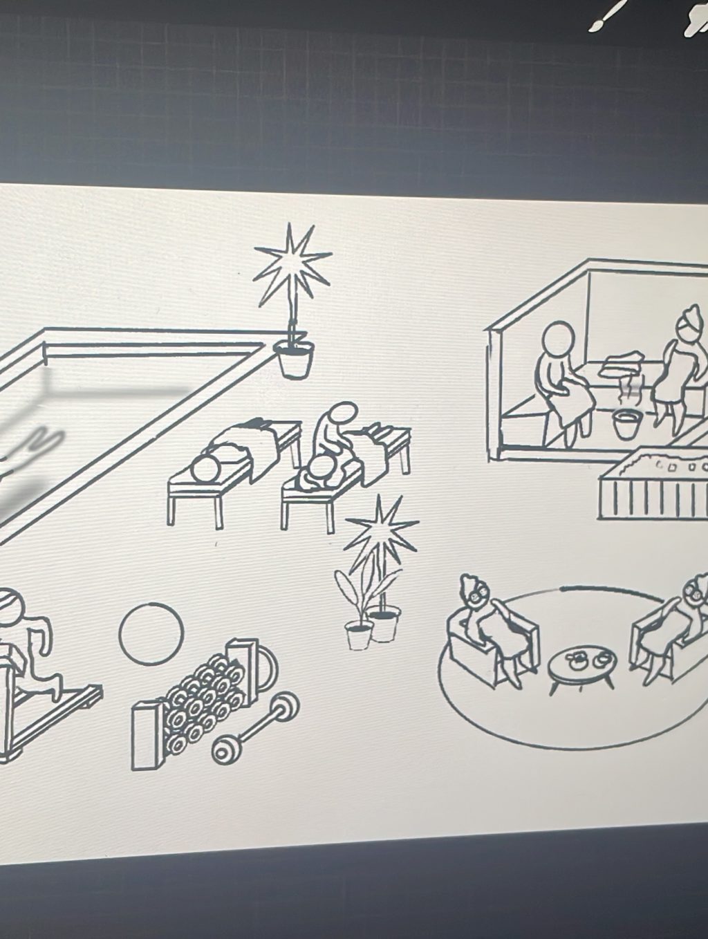 Instagram post from zoevankuyk.be. This post is in position 2.